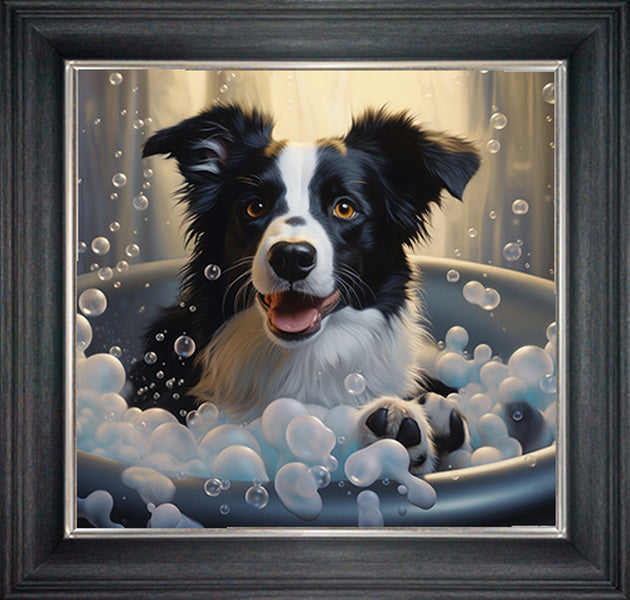 Glass Wall Art - Bubble Bath Border Collie