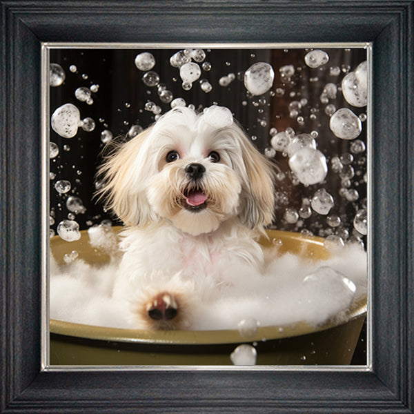 Glass Wall Art - Bubble Bath Lhaso Apso