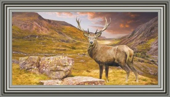 Glass Wall Art - Stag - Majestic Stag