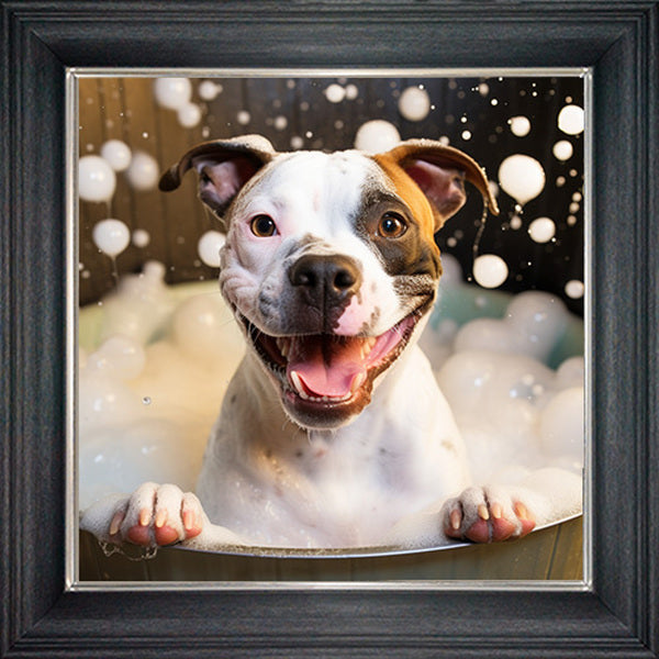 Glass Wall Art - Bubble Bath Staffordshire Bull Terrior