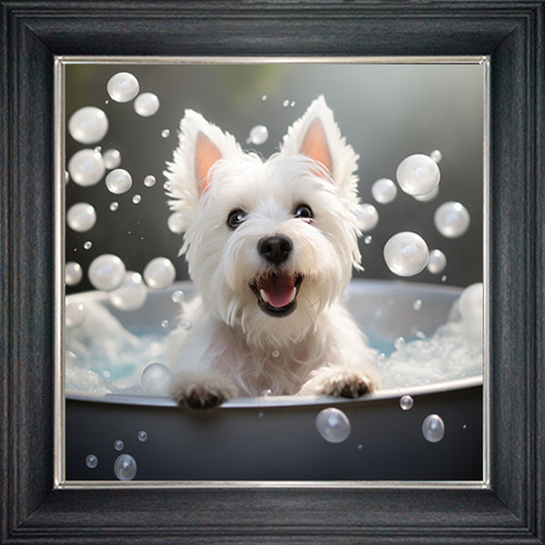 Glass Wall Art - Bubble Bath West Highland Terrior