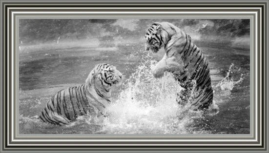 Glass Wall Art - Splashing Tigers
