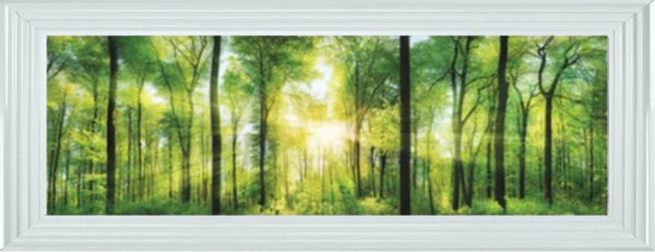 Glass Wall Art - Sunlight Forest