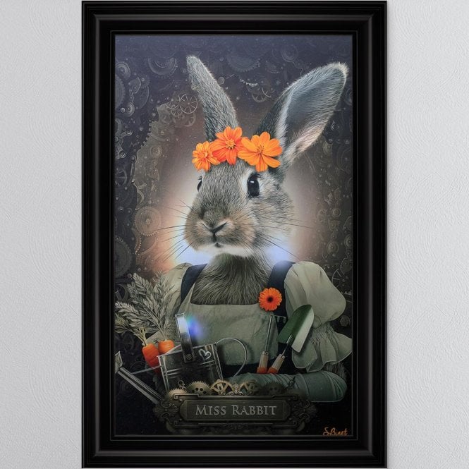 Sylvain Binet - Miss Rabbit