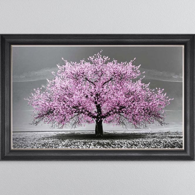 Tree - Cherry Tree - Pink