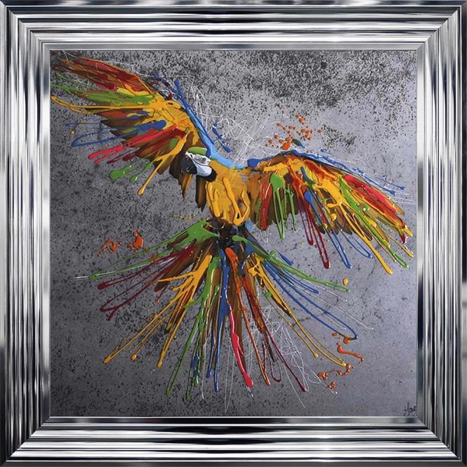 Parrot - Colourful Parrot