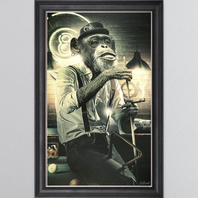 Sylvain Binet - Snooker Monkey