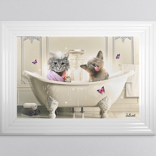 Sylvain Binet - Cat Bath