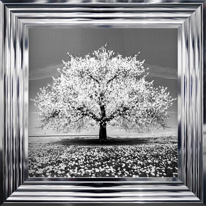 Tree - Cherry Tree - White