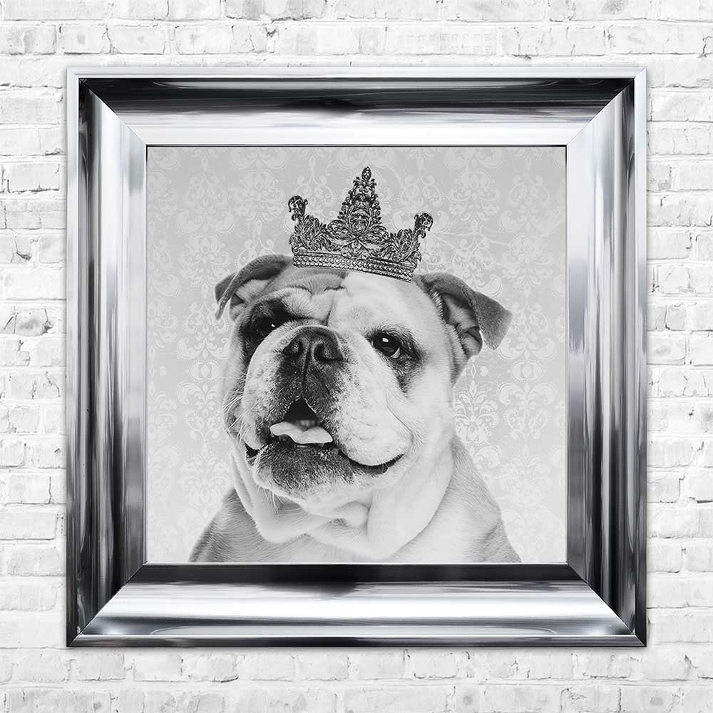 Bulldog - British Bulldog