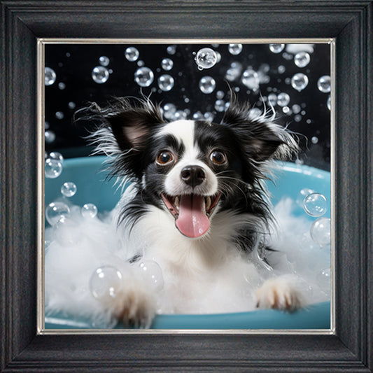 Glass Wall Art  -  Bubble Bath Long Haired Black & White Chihuahua