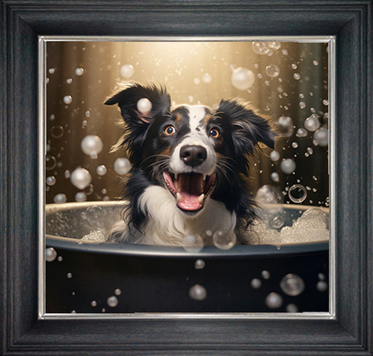 Glass Wall Art  -  Bubble Bath Border Collie 2