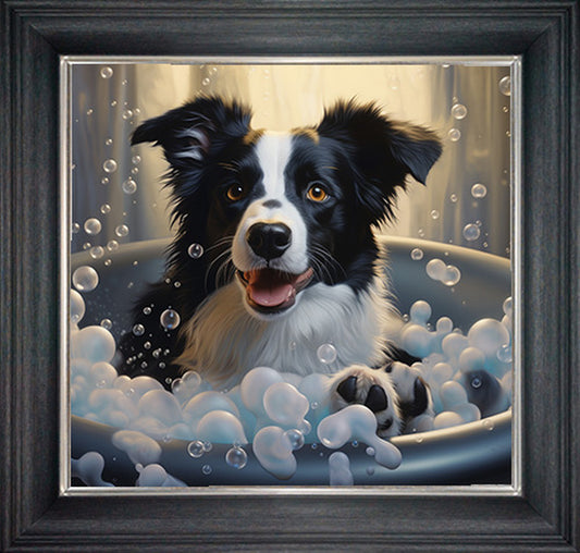 Glass Wall Art  -  Bubble Bath Border Collie