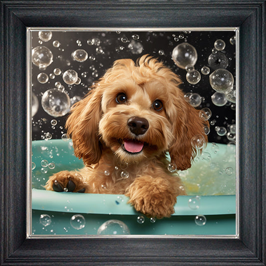 Glass Wall Art  -  Bubble Bath Cockapoo