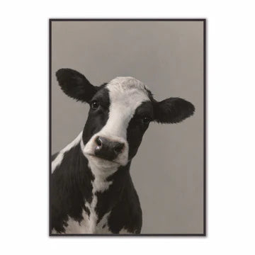 Velvet Canvas Art  -  Curious Black & White Cow  -  Framed Wall Art
