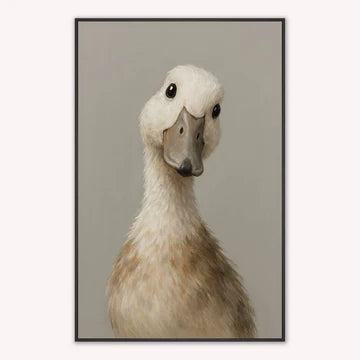 Curious Range Wall Art  -  Curious Grey Duck  -  Framed Wall Art