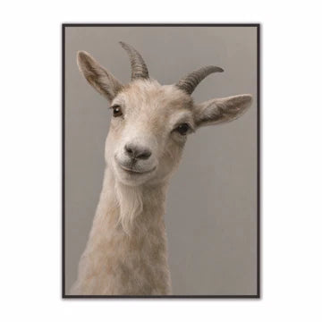 Curious Range Wall Art  -  Curious Goat  -  Framed Wall Art