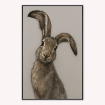 Curious Range Wall Art  -  Curious Hare -  Framed Wall Art