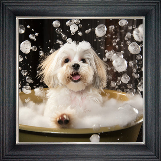 Glass Wall Art  -  Bubble Bath Lhaso Apso