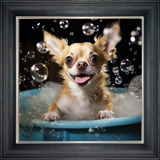 Glass Wall Art  -  Bubble Bath Long Haired Chihuahua