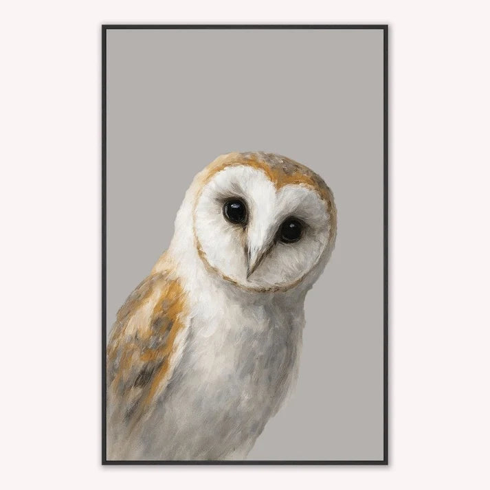 Curious Range Wall Art  -  Curious Owl  -  Framed Wall Art
