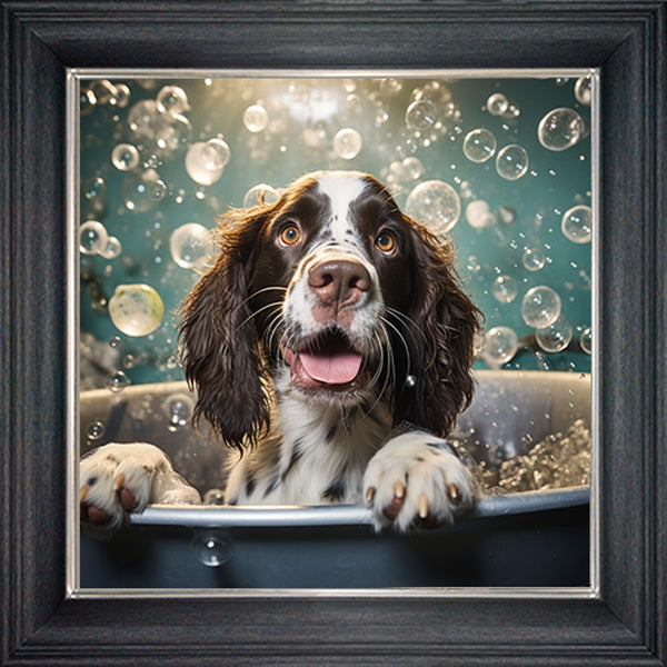 Glass Wall Art  -  Bubble Bath Springer Spaniel