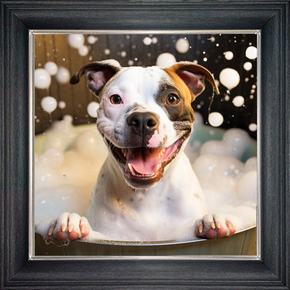 Glass Wall Art  -  Bubble Bath Staffordshire Bull Terrior