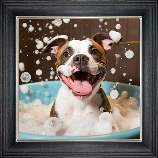 Glass Wall Art  -  Bubble Bath Staffordshire Bull Terrior Tan Eyes