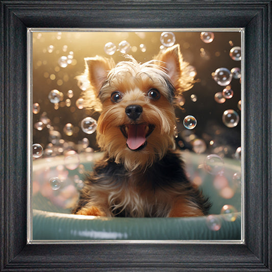 Glass Wall Art  -  Bubble Bath Yorkshire Terrier