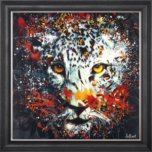 Sylvain Binet  -  Colour Snow Leopard
