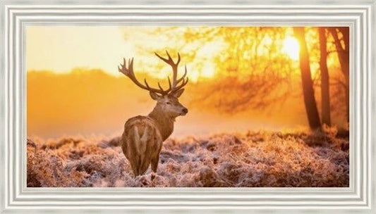 Glass Wall Art  -  Stag In Golden Sunset