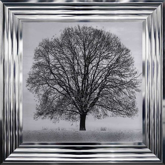 Tree  -  Winter Tree