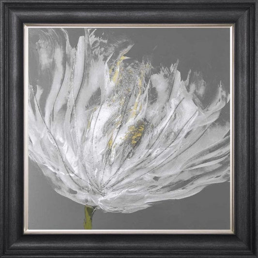 Floral  -  Single White Tulip